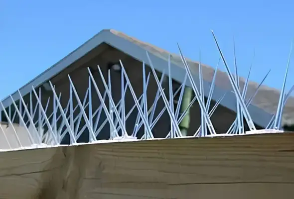 Hanvika Enterprises Bird Spikes Projects