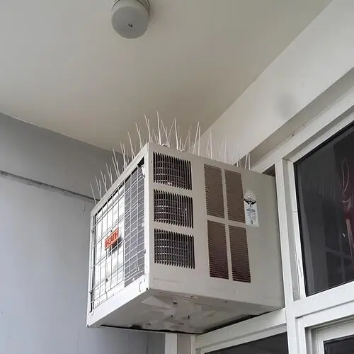 Top Premium Quality Bird Spikes for Pigeons in Bangalore, Karnataka
