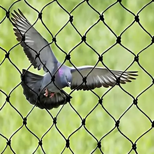 Top Quality Pigeon Netting Service in Bangalore, Karnataka